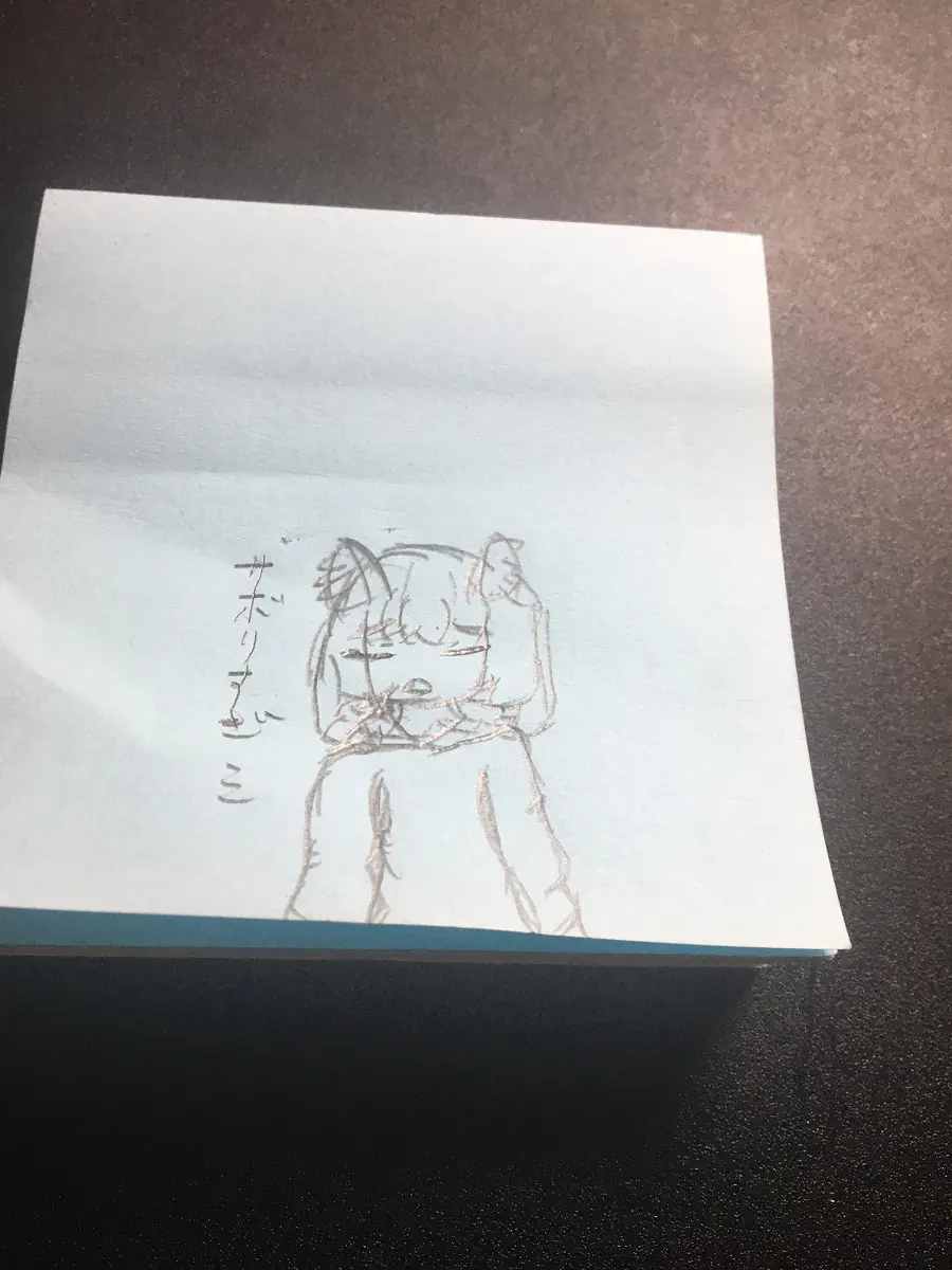 １２日目